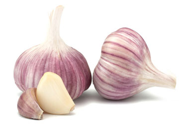 Purple Garlic