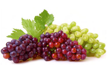 Table Grapes